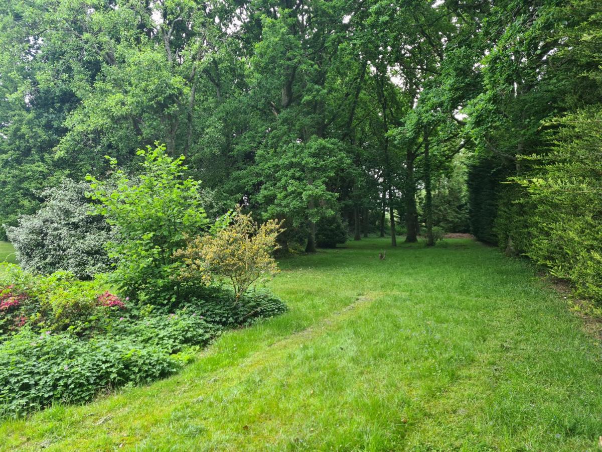 The Reading Whole Apartment With Private Lake And Gardens Exterior photo